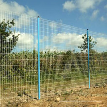 Cerca de fio galvanizada 50 * 200mm / cerca galvanizada da rede de arame